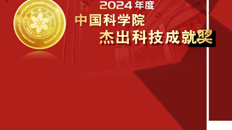 代理加盟企业应具备较强的技术实力，能够提供稳定的标识解析服务。这包括：